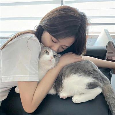 青春突击